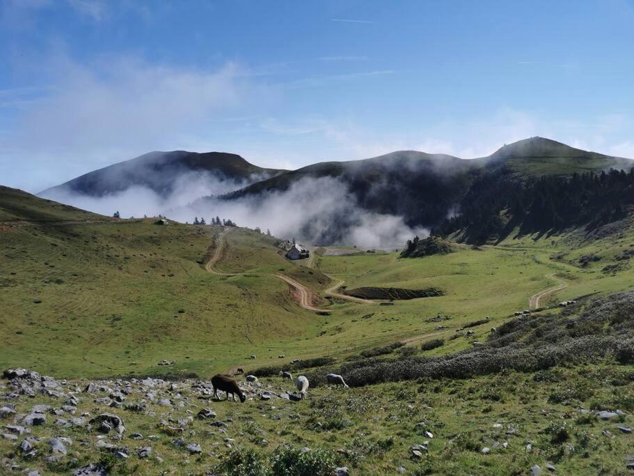 Saint-Laurent-de-Neste Cabane Dans Les Bois Avec Vue Sur Les Pyrenees מראה חיצוני תמונה