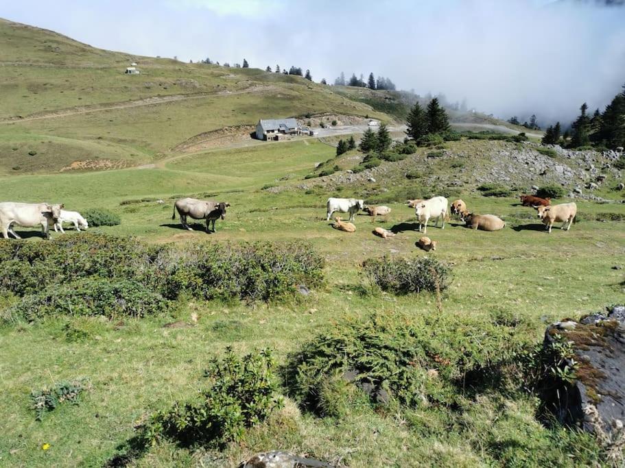 Saint-Laurent-de-Neste Cabane Dans Les Bois Avec Vue Sur Les Pyrenees מראה חיצוני תמונה
